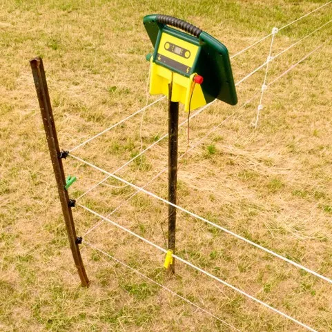 TRAQUEURS DE BERGER ÉLECTRIQUES